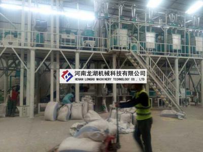 非洲剛果50噸玉米加工設(shè)備